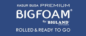 Bigfoam